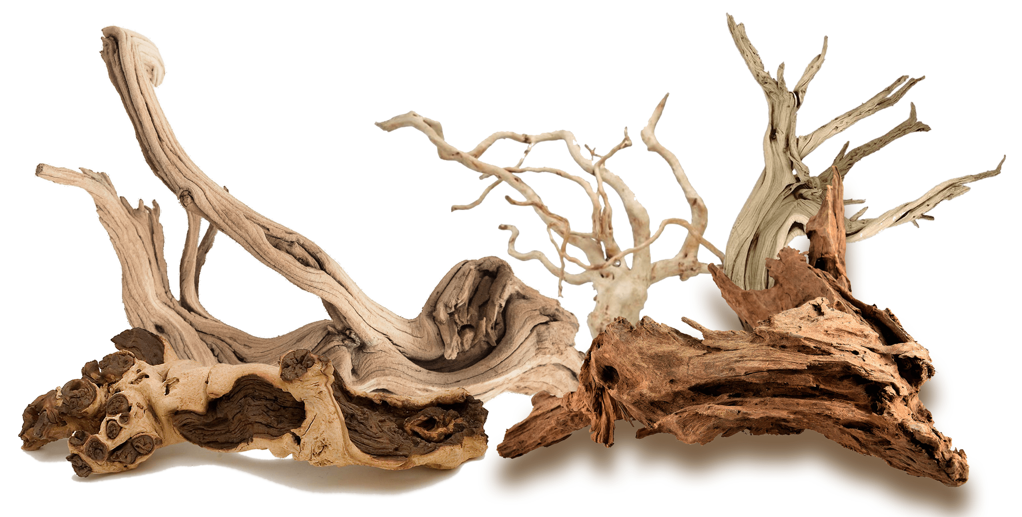 Driftwood